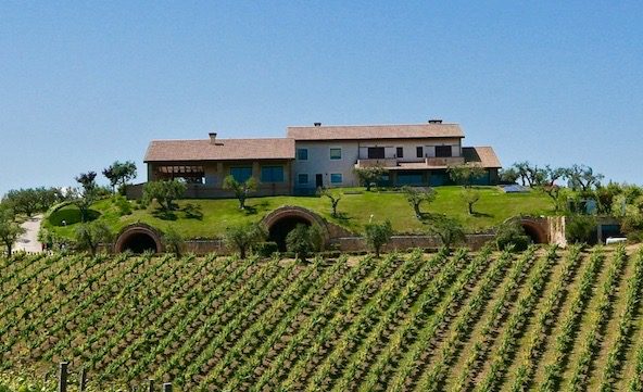 vineyards wedding venue rural Italy Abruzzo Feuduccio