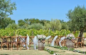 Wedding ceremony in a sunny vineyard