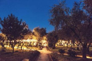 Olive grove at Villa Zagara illuminated at night