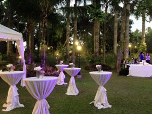 palm trees at Italian wedding venue