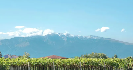 View of Apennines from vineyard wedding venue